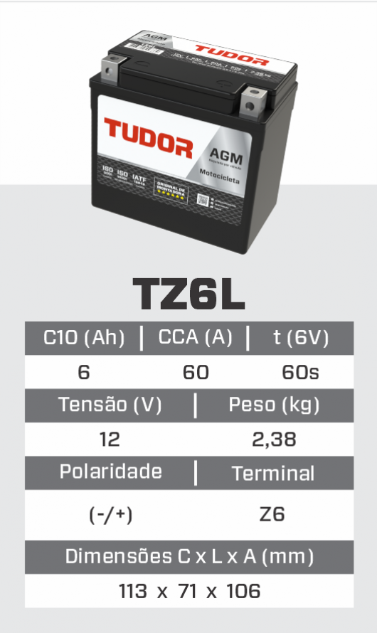 tz6l_1.png