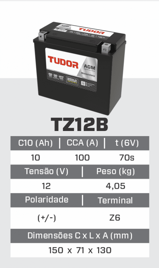 tz12b_1.png