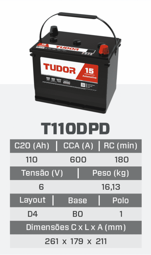 t110dpd.png