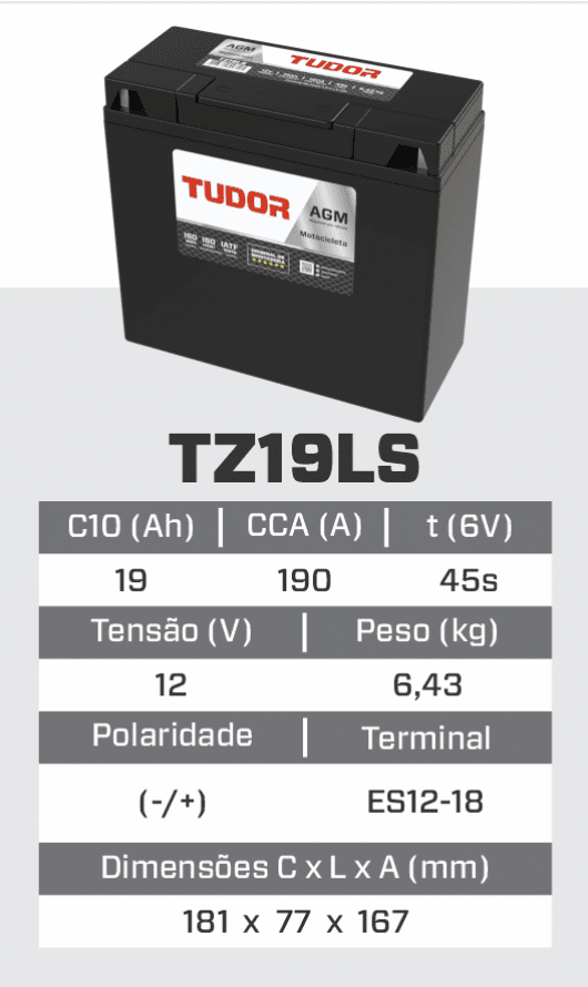 tz19ls_1.png