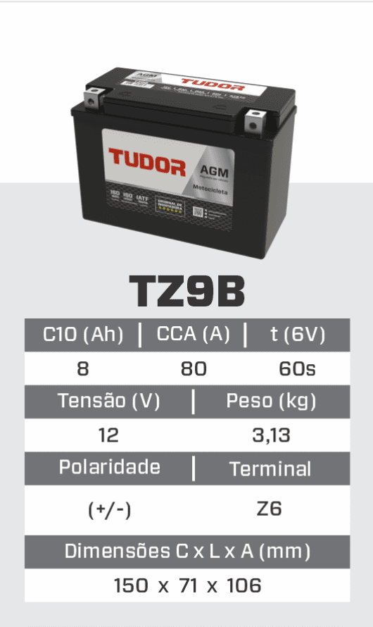 tz9b_1.png