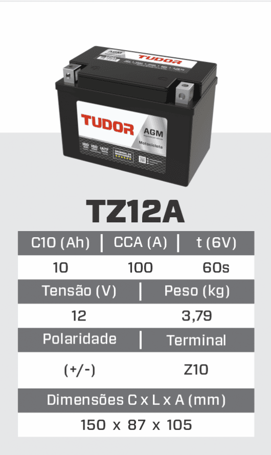 tz12a_1.png