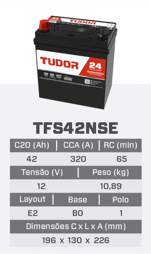 tfs42nse.png